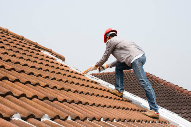 Best Chimney Flashing Repair  in Eden, NC
