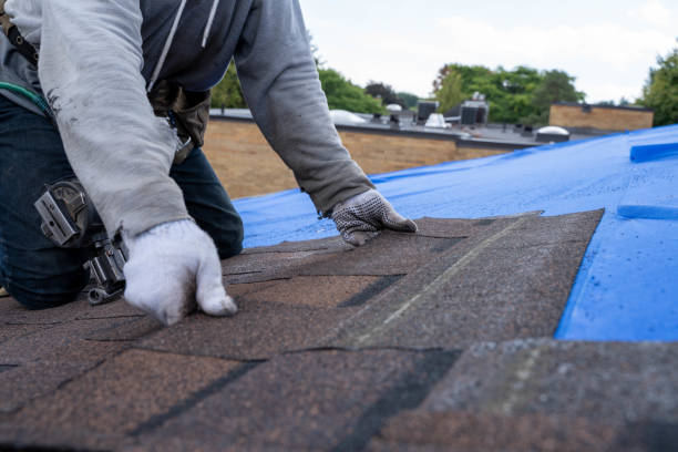 Best Roof Insulation Installation  in Eden, NC